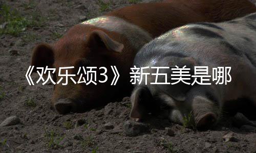 情介阵容剧美是乐颂个人哪几新五欢欢乐颂3绍