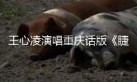 王心凌演唱重庆话版《睫毛弯弯》首唱新专辑主打歌