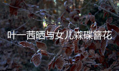 不必碟簪茜晒照追光自成儿森 你叶一与女花合花