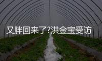 又胖回来了?洪金宝受访大肚子抢镜破生病谣言