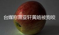 台媒称萧亚轩黄皓被狗咬伤 萧亚轩出院但黄皓仍在治疗