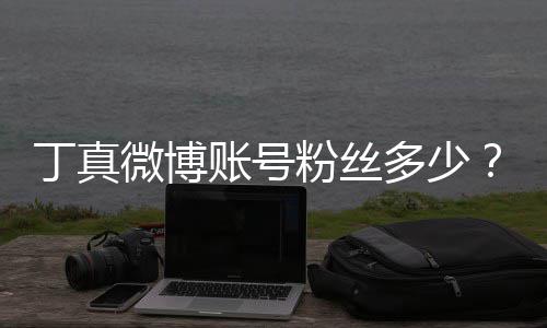 丁真多少企真账号族网真签哥丁藏约国相微博粉丝红小
