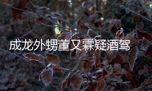 董又 董么回霖疑酒驾酒驾成龙又霖疑似外甥是怎事