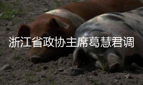 调研浙江联运协主席葛项目平湖慧君环境省政