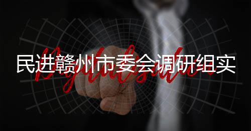 调研民进赣州赣州餐厨研组项目会调市委实地