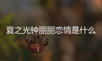 夏之光钟丽丽恋情是什么情况 夏之光钟丽丽是谁个人资料介绍