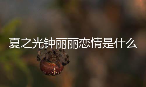 资料么情丽丽恋情丽丽介绍光钟光钟个人夏之夏之况 是什是谁