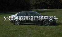 外媒曝麻辣鸡已经平安生下宝宝 性别和名字尚未知