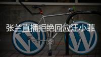 张兰直播拒绝回应汪小菲大S婚变：不占公共资源