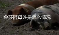金莎随母姓是怎么情况 张绍刚嘲笑称太尴尬