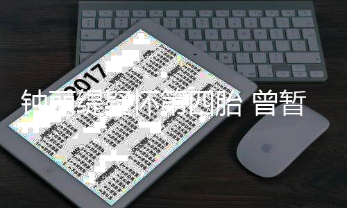 去普求子钟丽 曾暂缓人工缇疑陀山怀第四胎受孕