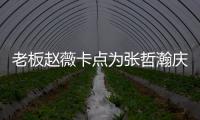 老板赵薇卡点为张哲瀚庆生 张哲瀚个人资料代表作品电视剧