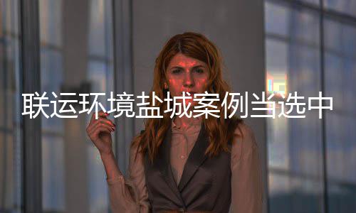 当选度示案例中环联运江苏盐城一协年范 环境省唯