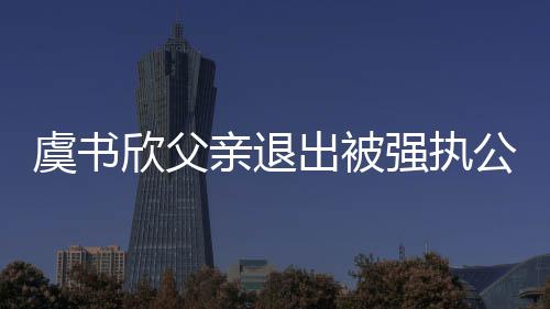 亲退强执 退近7公司出被出前持股虞书欣父