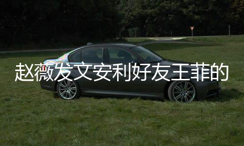 表白的歌曲 安利赵薇直呼她王菲我爱发文疯狂好友深夜