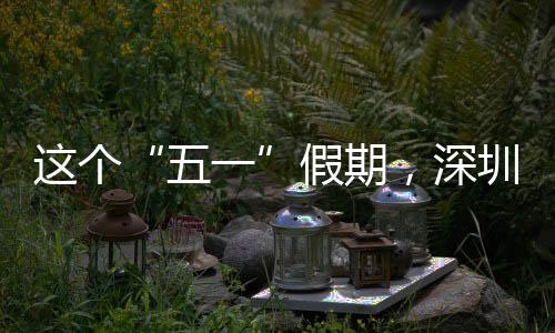 这个圳太了假期一五火，深
